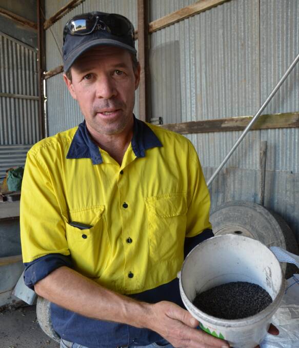 BUSY TIME: As well as keeping busy with seeding, Wolseley farmer Simon Ballinger has also been baiting and burning to try and keep on top of mice numbers.