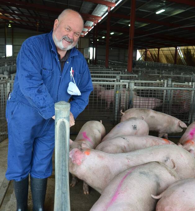 NUMBER SHORTAGE: Regular pig buyer at the Dublin market John McKay believes there could be a shortage of pig numbers leading up to Christmas.