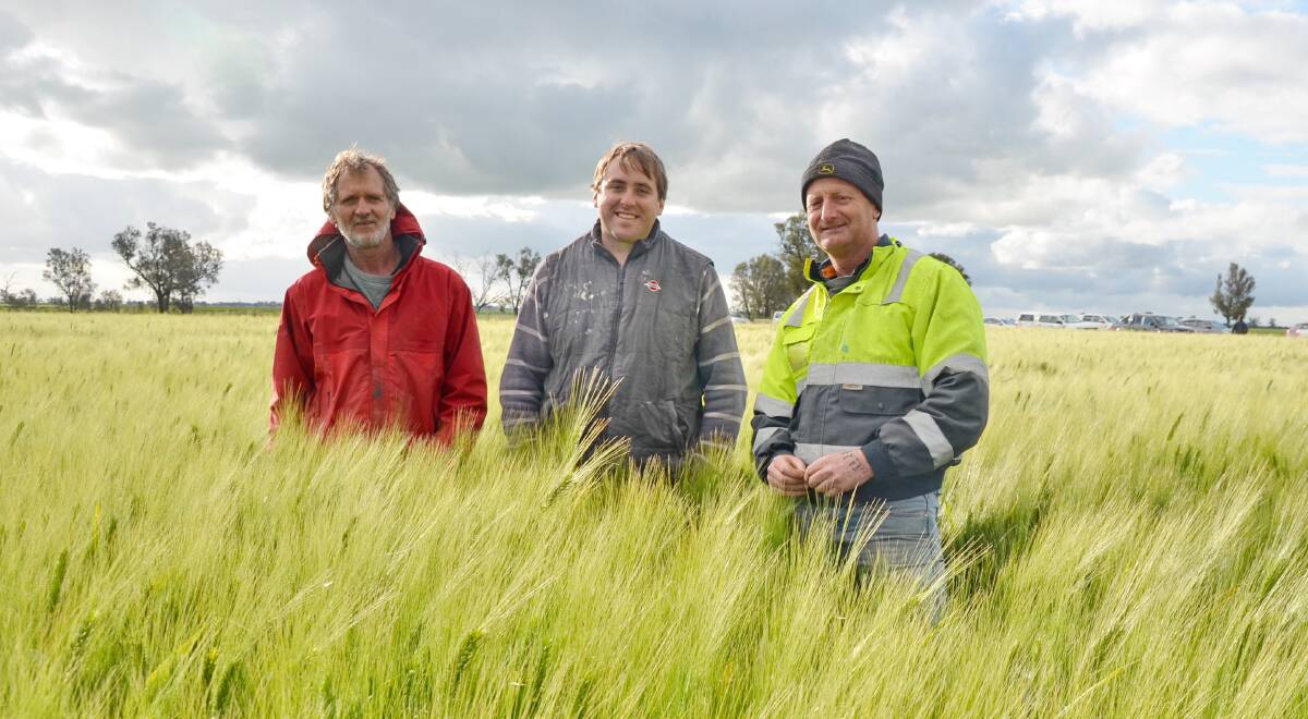 FIELD DAY: Kaniva, Vic, farmers Barry Crouch, Jonathan Dyer and Eric Dyer on the Southern Australian Durum Growers Association crop walk.