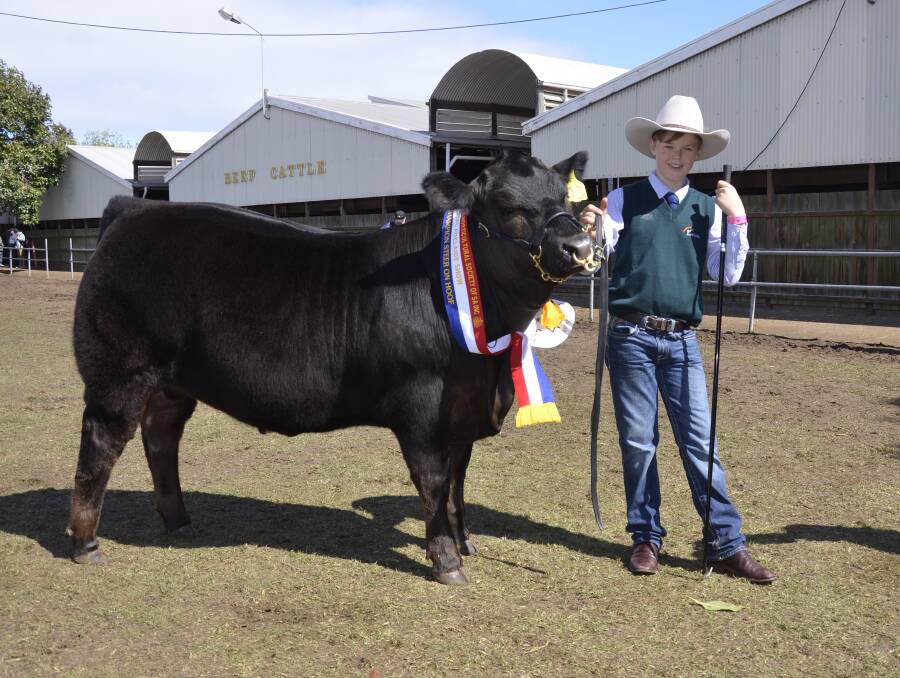 OUTSTANDING STEER: Mandayen Spence's Fred won grand champion led steer and the Limousin was exhibited by Thomas Spence, Keith.