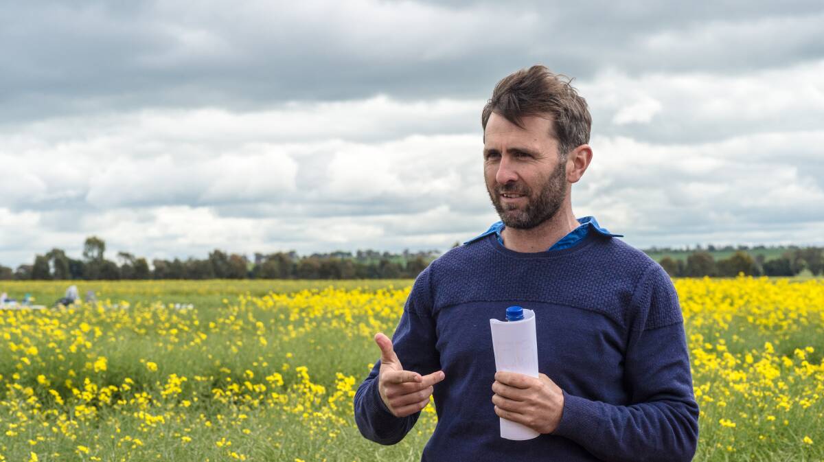 CANOLA: NSW DPI research agronomist Rohan Brill says best practice agronomic management is the grower’s greatest ally. 