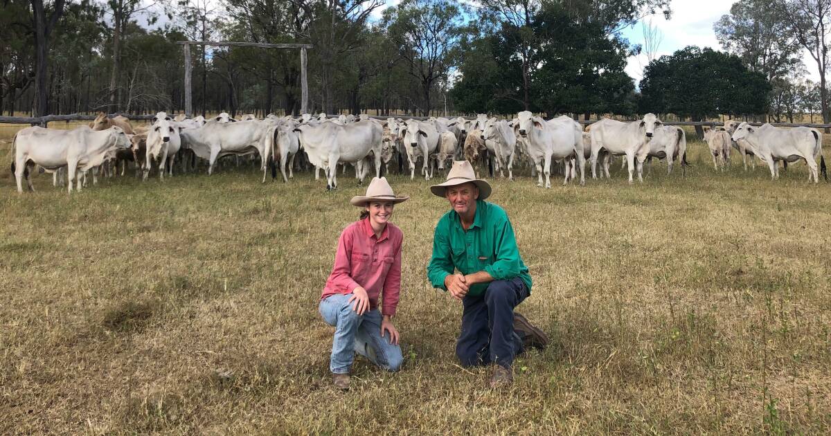 Garth Reiser and his daughter Kit, Brigooda-Vale, Proston, will offer 100 Charolais infused weaners at Toogoolawah. 