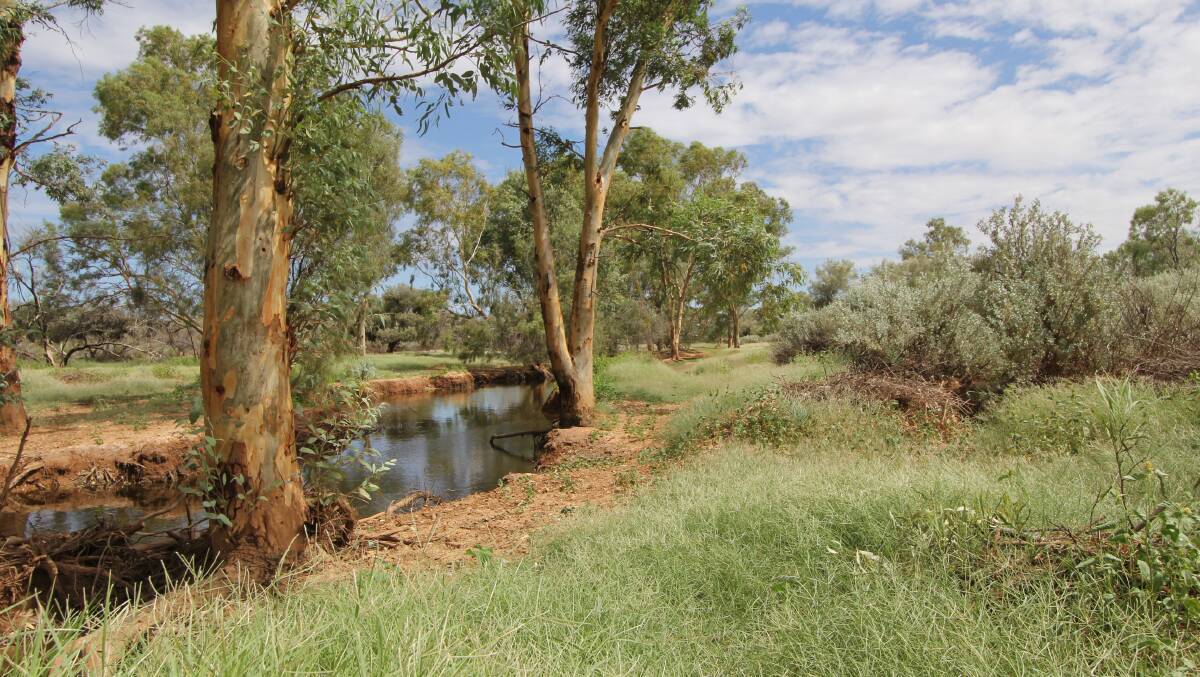 In addition to 13 creeks flood-out creeks, Mount Lyndhurst is watered by 17 bores, four wells and 15 dams. 