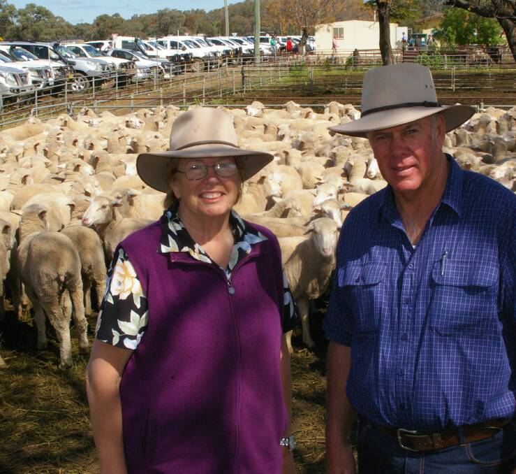 Barbara and David Butcher, Bronte Station, Mossgiel, NSW, with their $274 a head young ewes 