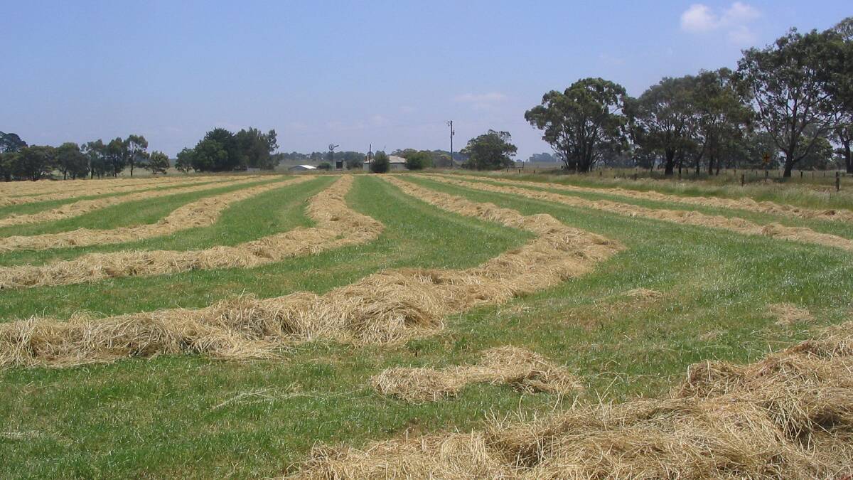 Will you be growing less hay this year?