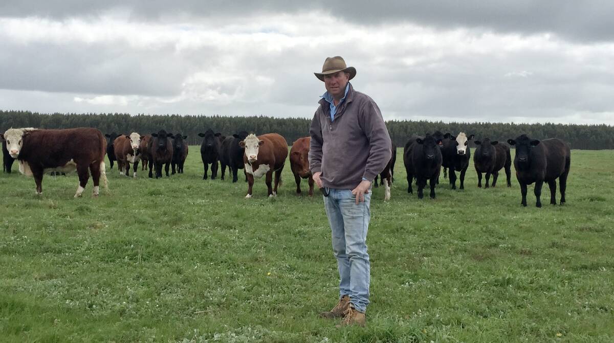 BENCHMARKING COMPETITION: Southern Grassfed Carcase Classic chairman Allan Kain hopes entries will continue to grow with a long delivery period.
