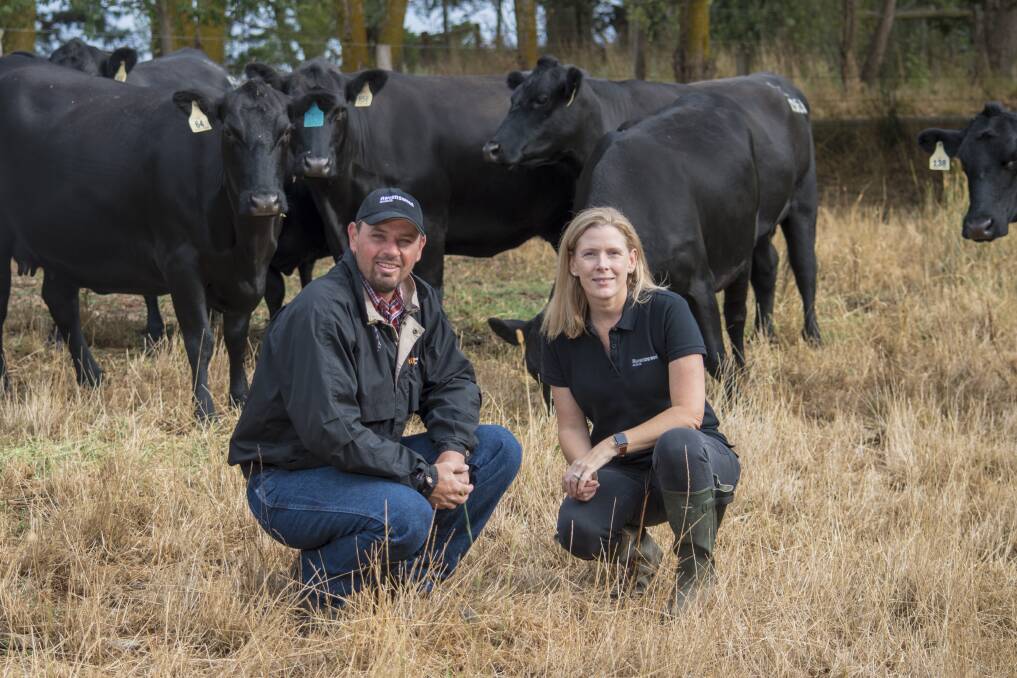 NEW VENTURE: Ravenswood Angus stud principals John Gommers and Anna Crowley will be among more than 70 studs to participate in Stock Journal Beef Week.
