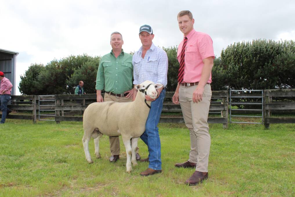 PREMIER PURCHASE: Landmark's Gordon Wood, Seriston principal Anthony Hurst and Elders Lucindale's Scott Christie with the $5000 ram bought by Baringa and Premier studs, Oberon, NSW. Photo: KAITLYN FASSO-OPIE