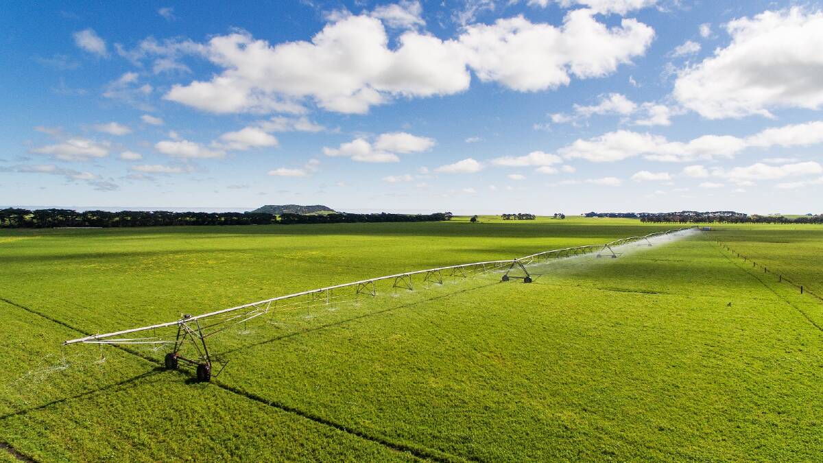 IRRIGATED OPTIONS: About 700 hectares of the 2870ha Mt Schanck station is under centre pivot irrigation, used for lucerne-based pastures, fodder cropping and hay production.