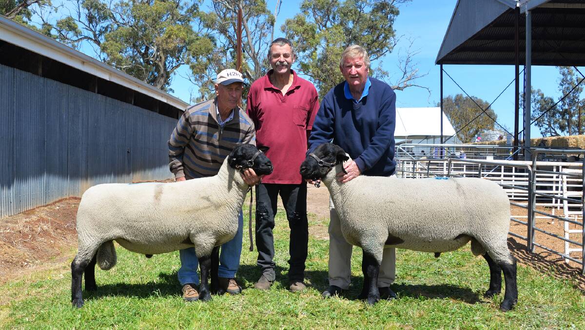 ALLENDALE DOUBLE: Allendale's Graham Day, buyer Allan Gum, Lameroo, and Leigh Allan, Naracoorte - who bid for Mullinger Park, Kybybolite - with the $9000 rams.