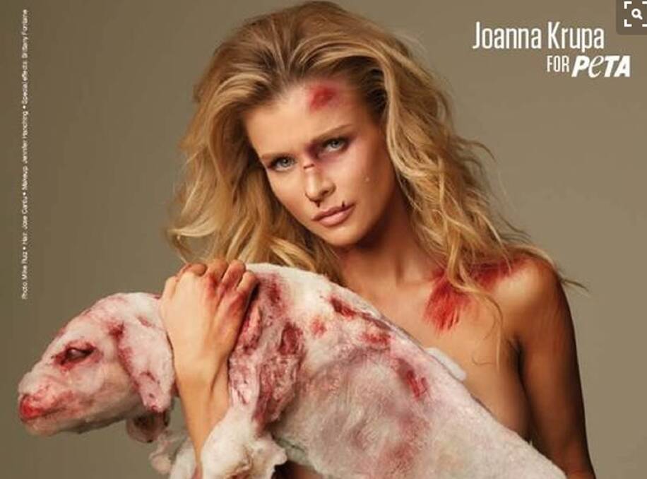 Will PETA’s anti-wool ad work?