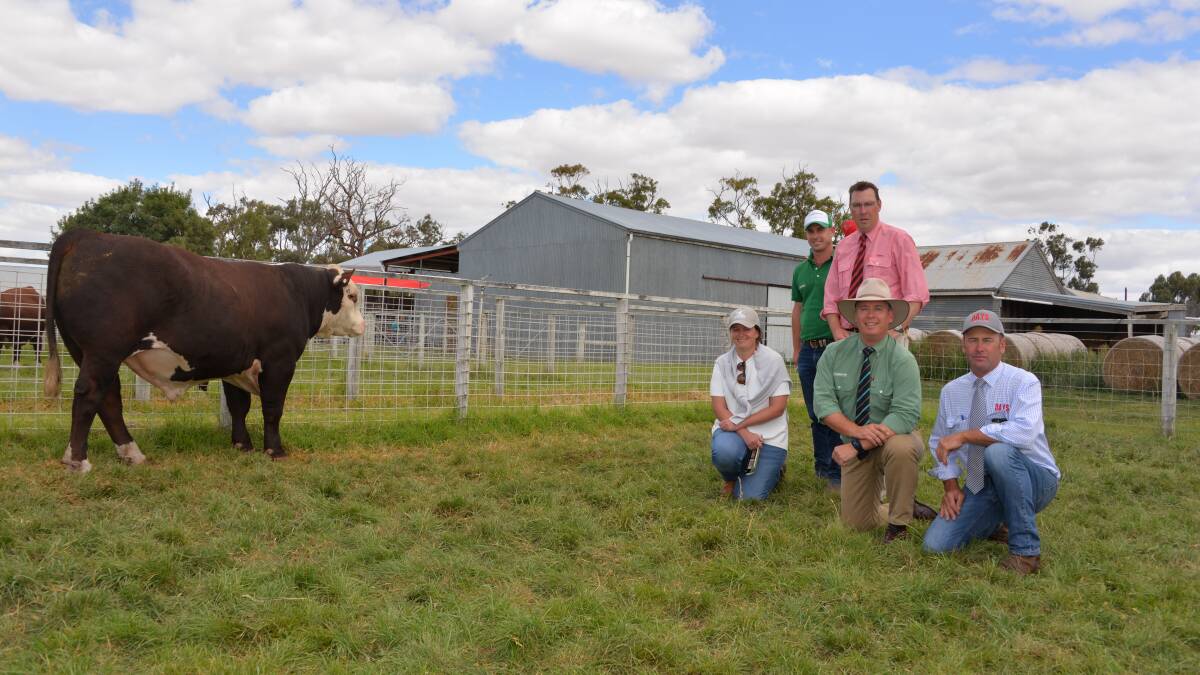 GEM LOT: Top Days Whiteface bull buyer Phoebe Farrell, Warrnambool, Vic, her agent Nick Maddison, Elders auctioneer Ross Milne, Landmark auctioneer Gordon Wood and Days Whiteface principal Lachy Day.
