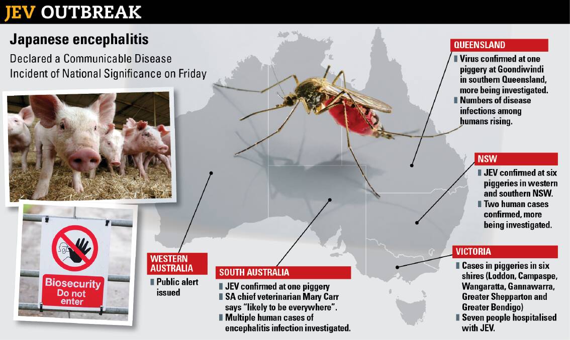 The JEV outbreak across Australia. 