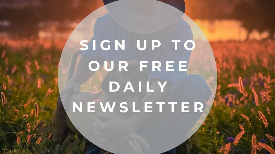 Have you signed up to Stock Journal's free newsletter yet?