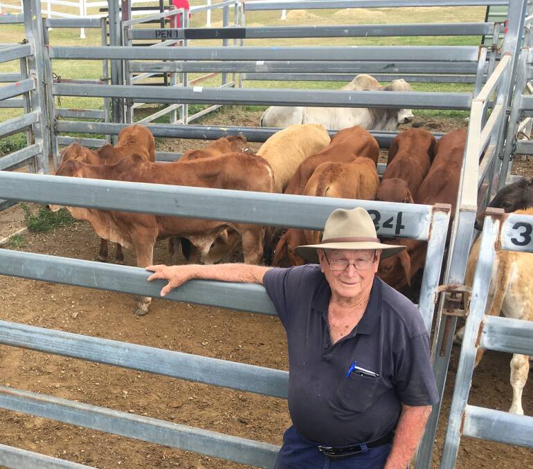 Local vendor Robert Denman sold 21 light weaners through Sarina on Friday's sale with the steers making $1040.