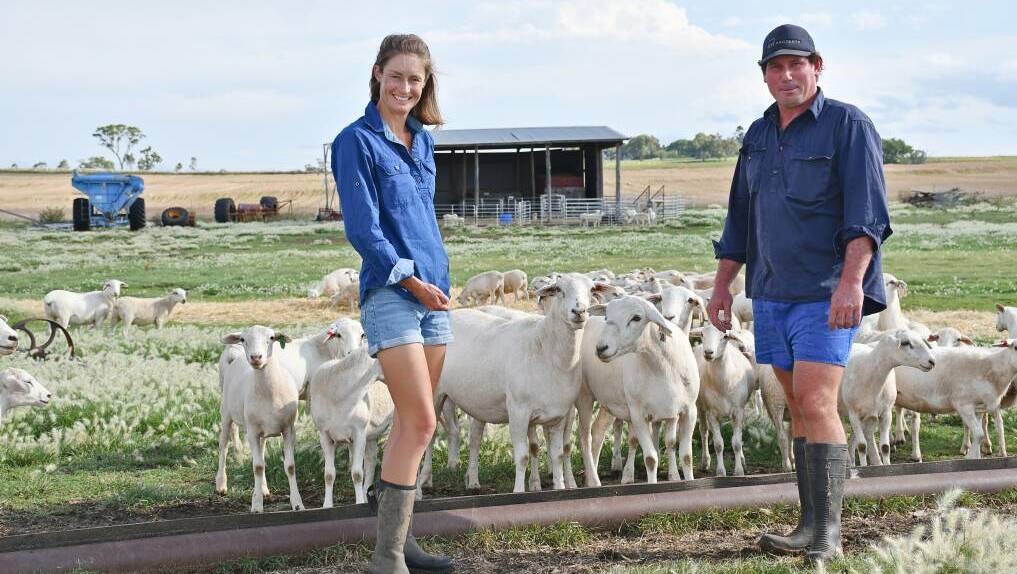Carla and Jim Pidgeon are creating a feedlot and artificial-insemination facility on their Allora property. Picture: Billy Jupp.
