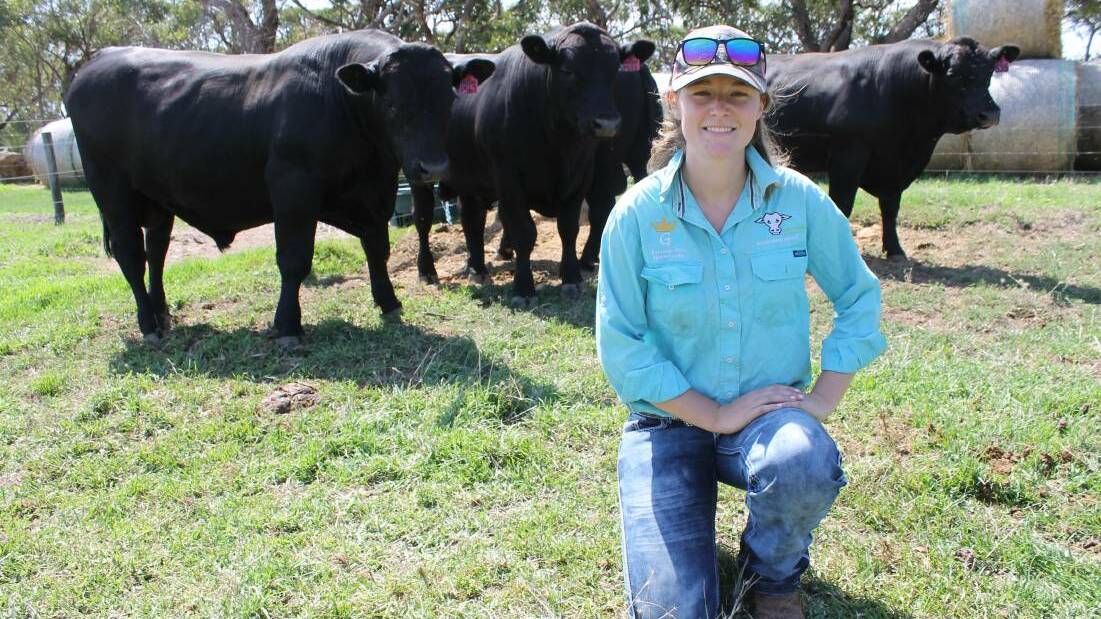 Annie Palmer is forging ahead with her stud breeding and stock showing businesses.