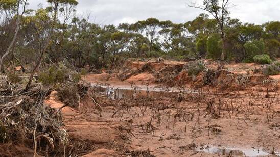 HELPING HAND: The Eyre Peninsula Landscape Board is here to help in the wake of the major weather event last month.