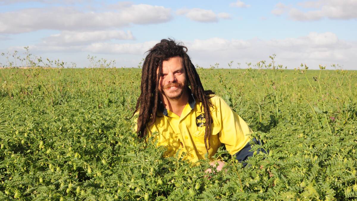 Cummins cropper Tarren Minhard is likely the only Kabuli chickpea grower on the Lower Eyre Peninsula. Pictures by Katie Jackson