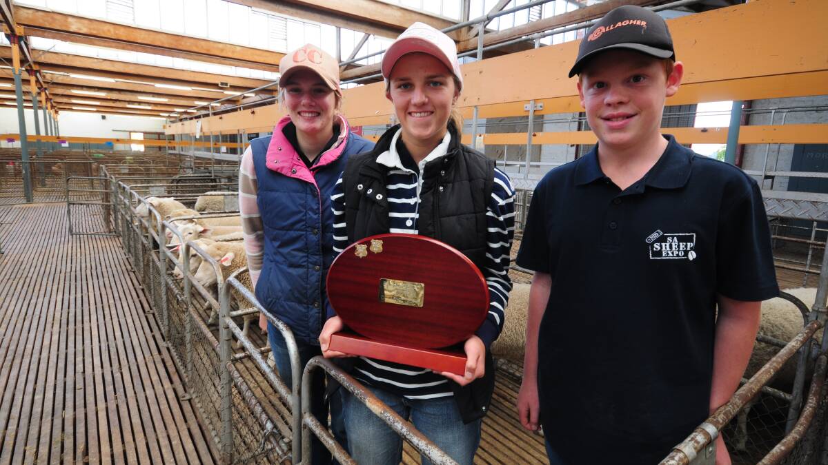 Faith Lutheran College students Olivia Heinrich, 16, Lottie Clyne, 16, and Ryan Philp, 13, travelled to the SA Sheep Expo where they were awarded the School Team Challenge trophy. Picture by Katie Jackson