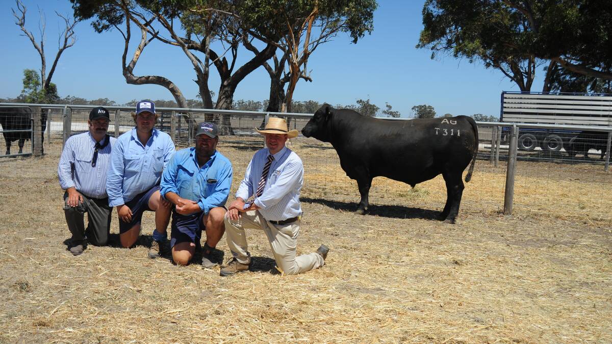 Allendale Angus stud principal Alastair Day with Cooper and Heath Nickolls, Bull Oak Well, and Spence Dix & Co auctioneer Jono Spence and the top price bull. 