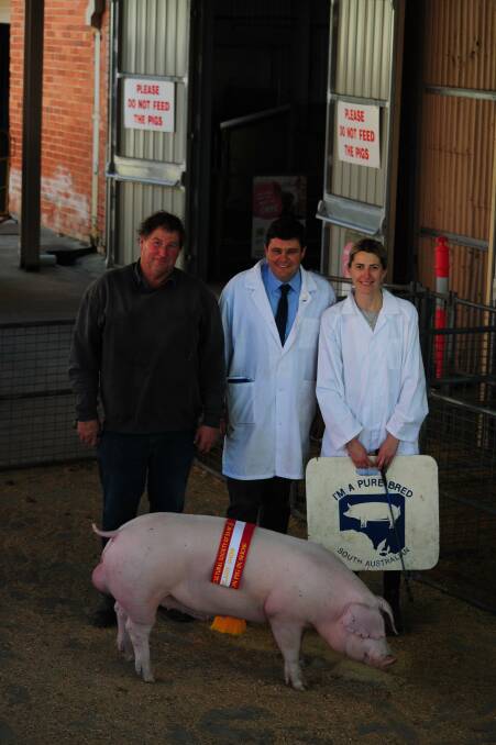 Exhibitor Michael Blenkiron, judge Wesley Temmesl and handler Narkia Stanley with supreme champion pig in show Gumshire Promise M794.