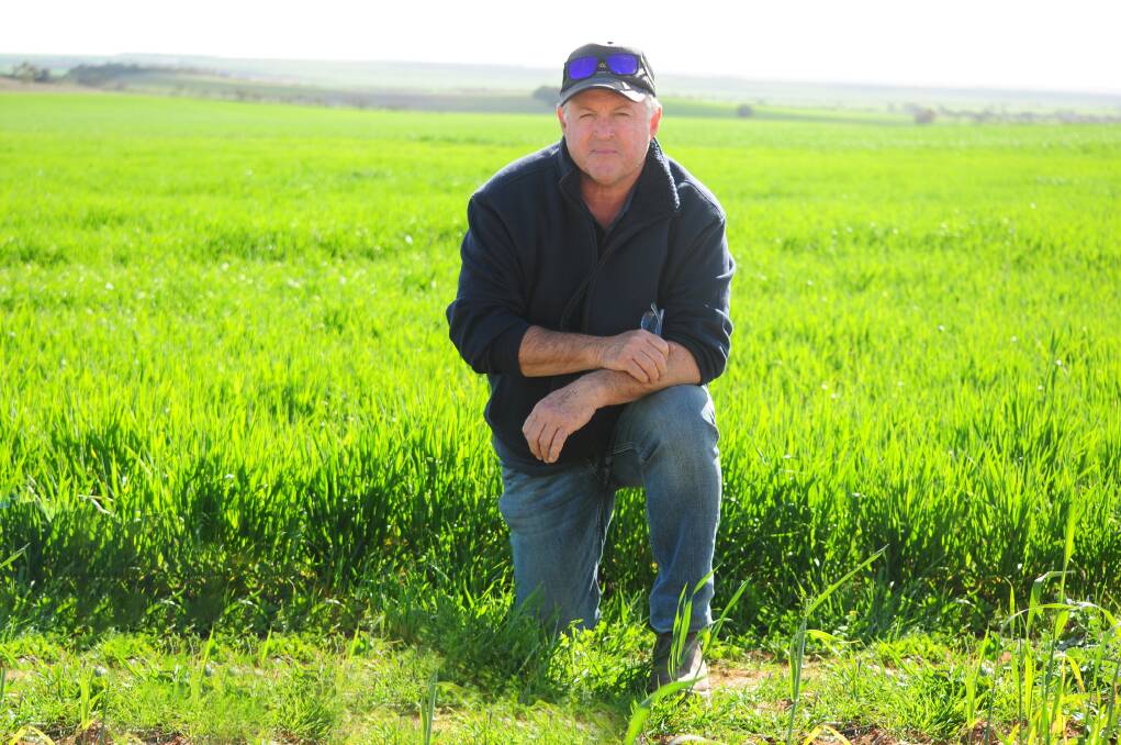 Buckleboo farmer Peter Woolford is hopeful the region can keep its clean and green image following a Federal Court ruling to "set aside" the proposed Kimba nuclear waste site. Picture by Katie Jackson