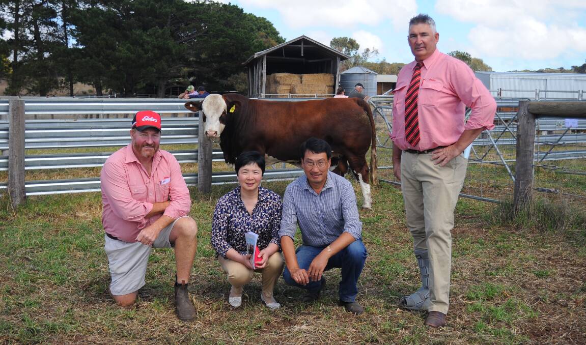 Elders stock agent Nick Downward, lakeside stud principals Lily Xu and Dong Zhu, and auctioneer Laryn Gogel with sale-topper Lakeside Titus. Picture by Katie Jackson