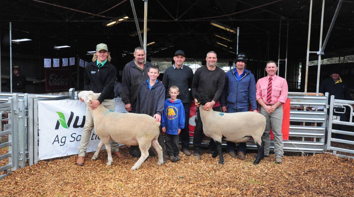 A top of $2300 for White Suffolks and $1800 for Suffolks was reached at the Gumview and Willochra combined sale last week.