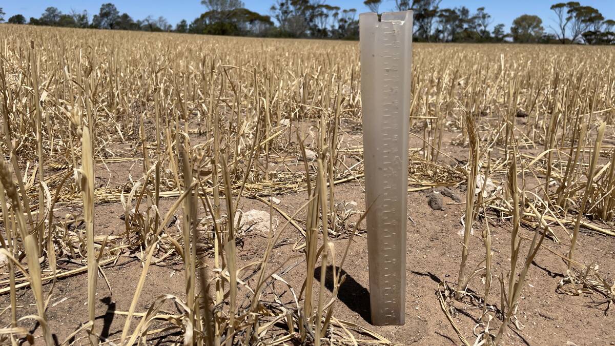 Rain gauges remain dry across the state while seeding gets into full swing post-Anzac Day. File picture