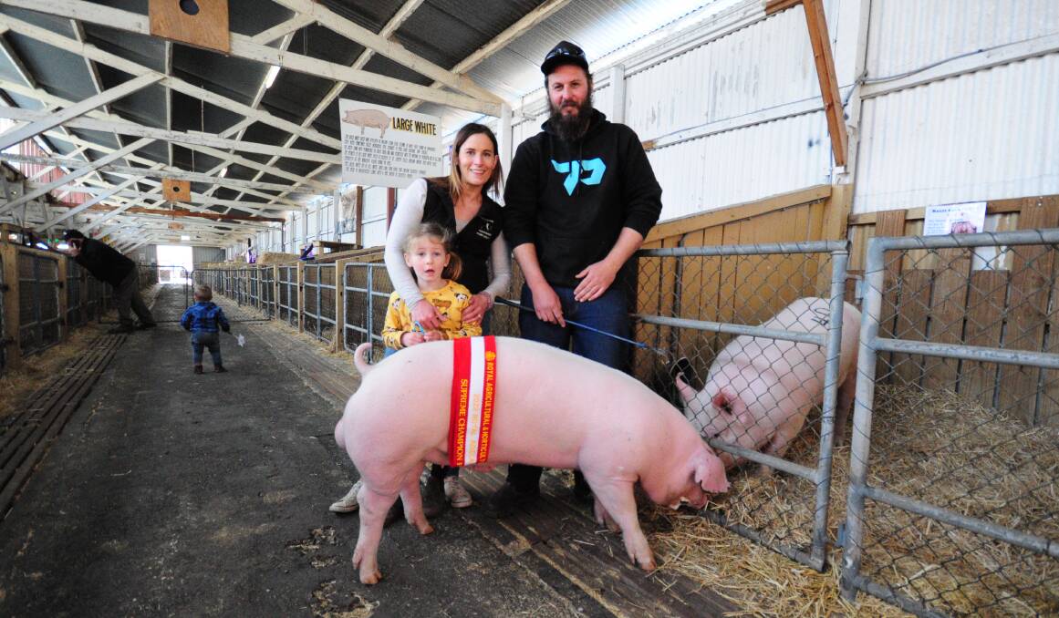 Amy and Shaun Blenkiron and daughter Asha, 4, Gumshire, Keyneton, with best of breed Landrace Gumshire Promise M794. The boar was also awarded supreme champion pig in show.