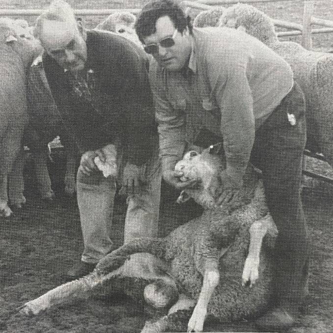 FATHER AND SON: Bob and Bruce Pocock are pictured with one of their rams in 1988 ahead of their second annual on-farm sale. 