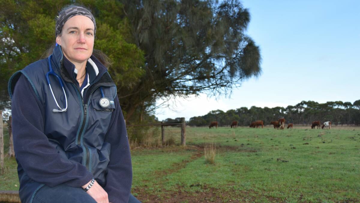 UNDERWAY: Mount Gambier vet Dr Rebel Skirving is researching the lifelong effects of colostrum on cows as part of her PhD studies.
