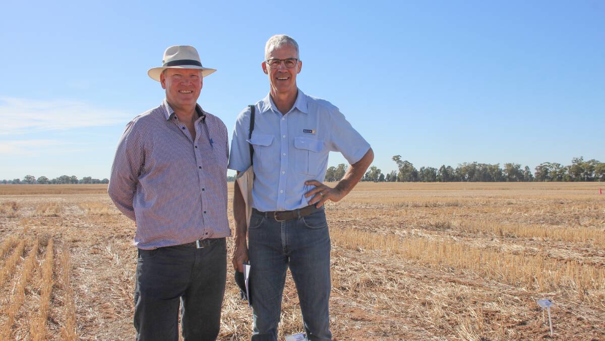 John Kirkegaard, CSIRO, and Tim Condon, Delta Ag, at the Rennie site. Picture by Alexandra Bernard.