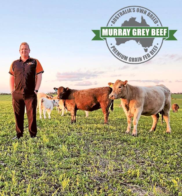 Rhys O'Donohue, Moonta Gourmet Meats, is marketing premium Murray Grey beef in his busy Yorke Peninsula business. New brand logo (Inset). Picture supplied