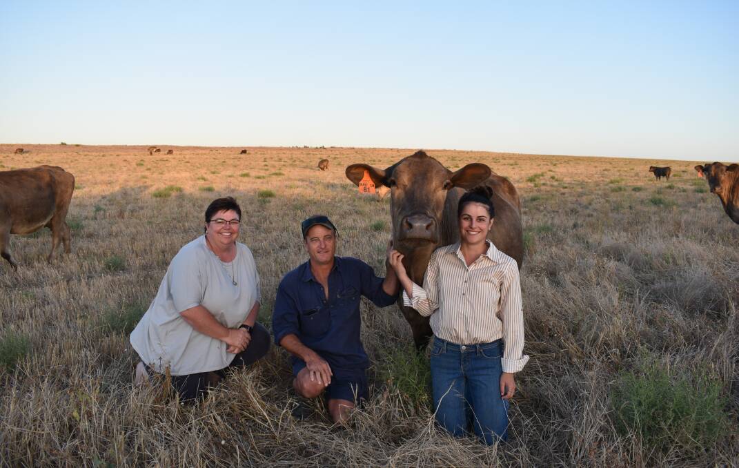 Roger and Belinda Burt, with daughter Sophie, Clements Gap, in the paddock with some of their 100pc Murray Grey herd. Picture supplied