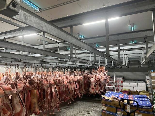 The GF600IM unit has been used in literally thousands of butchers and meat processing coolrooms Australia wide, for more than 60 years. Picture supplied
