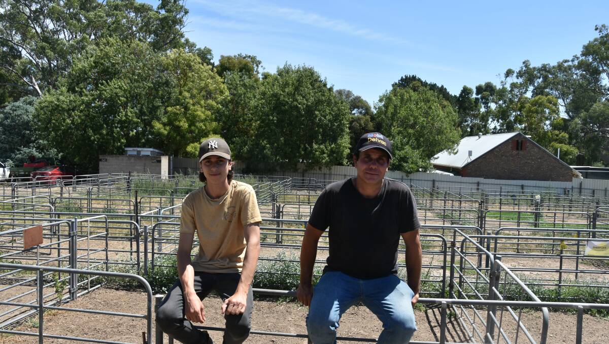 Tony Pangallo, 15, and Pat Pangallo, Foreston, at Mount Pleasant to sell some steers and heifers. 