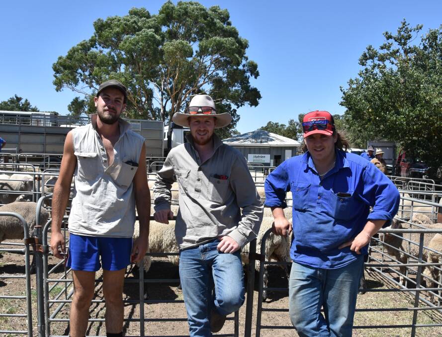 Hamish La-faro, Mount Torrens, Brodie Bridgman, Paris Creek, in front of his lambs for sale, with Jayden Jolly, Paris Creek, who was looking to purchase some cattle. 