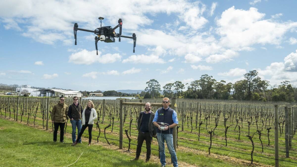 OPPORTUNITY KNOCKS: SproutX is the the home of Australian agtech.  It is the world's most active agtech investor through it's accelerator program and the goal is to enable entrepreneurship within agriculture. Photo supplied.