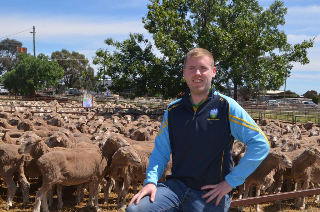 Dwayne Shiels during the spring sale at Jerilderie thought Australian sheep producers achieved terrific productivity. 