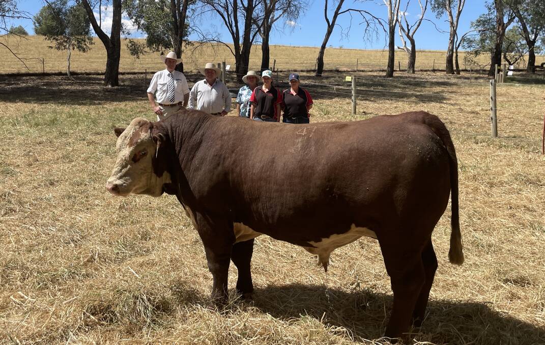 With Injemira Patriarch T340, who sold for $75,000, are auctioneer Paul Dooley, Tamworth, Marc Greening, Injemira Beef Genetics, Ladysmith, along with the buyers Michelle, Emily and Grace Elsom, Emigrace Poll Herefords, Macarthur, Victoria. 