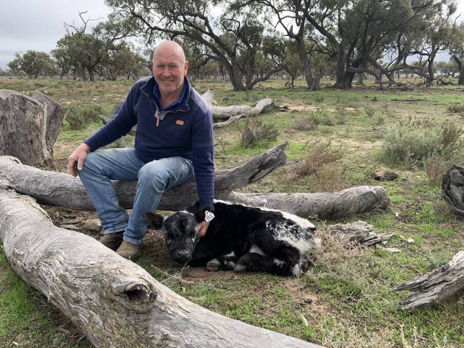 Doug Comb, with the last Speckle Park ET calf born for 2021 at Keiross, Hay. Photo: Dimity Comb
