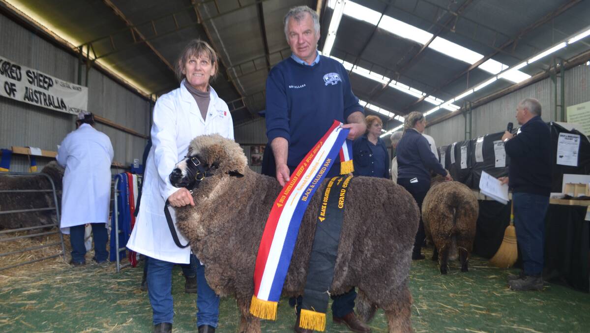 Anne Barnes, Werowna Park, Yass, NSW, with her grand champion Black and Coloured ram sashed by judge Nick Cole, Cloven Hills, Camperdown.