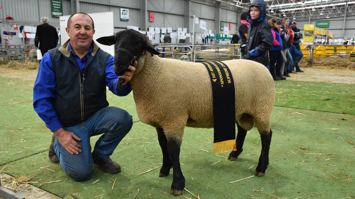 'Look at me': Greg Good, Bowen Suffolks stud, Millthorpe, NSW, took out supreme champion Suffolk sheep. Photo: Joely Mitchell.