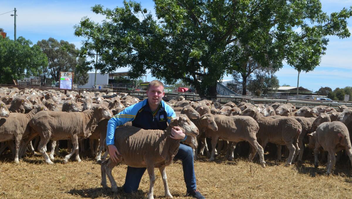In Dwayne's opinion Irish farmers can learn a lot from their Australian counterparts in pushing their sheep to achieve increased returns.
