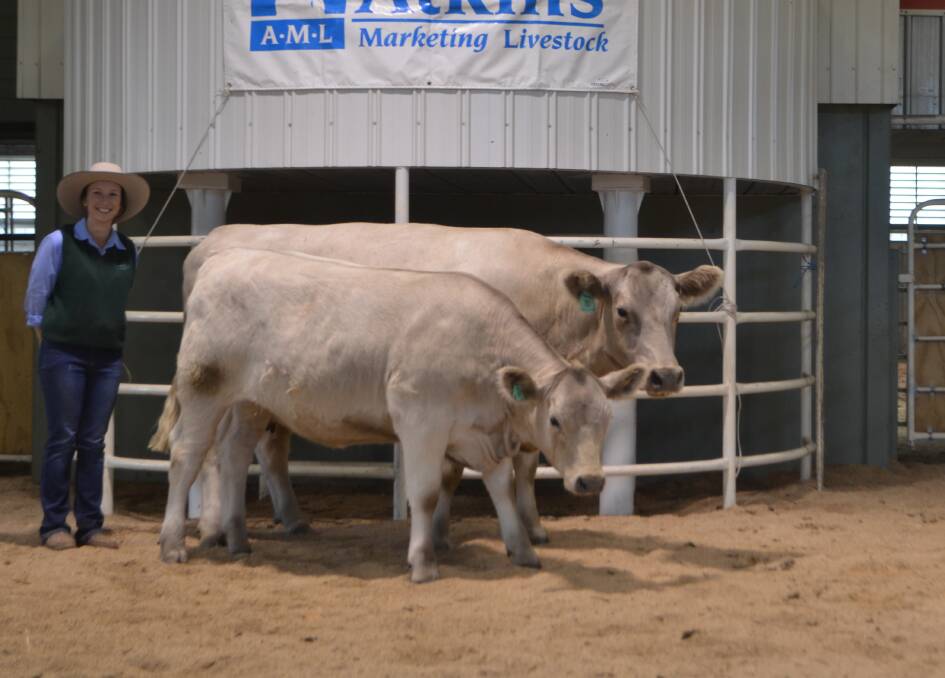 Annika Whale, Double A Cattle Co, Glen William, paid $13,500 for Glenliam Farm Antoinette H46 and her August 2017 drop heifer calf, a daughter of Tullibardine Jeopardy.
