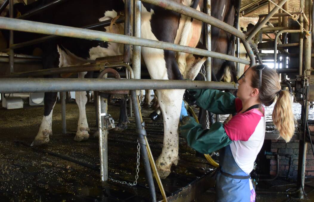  Dairy farmer confidence has taken a hit.