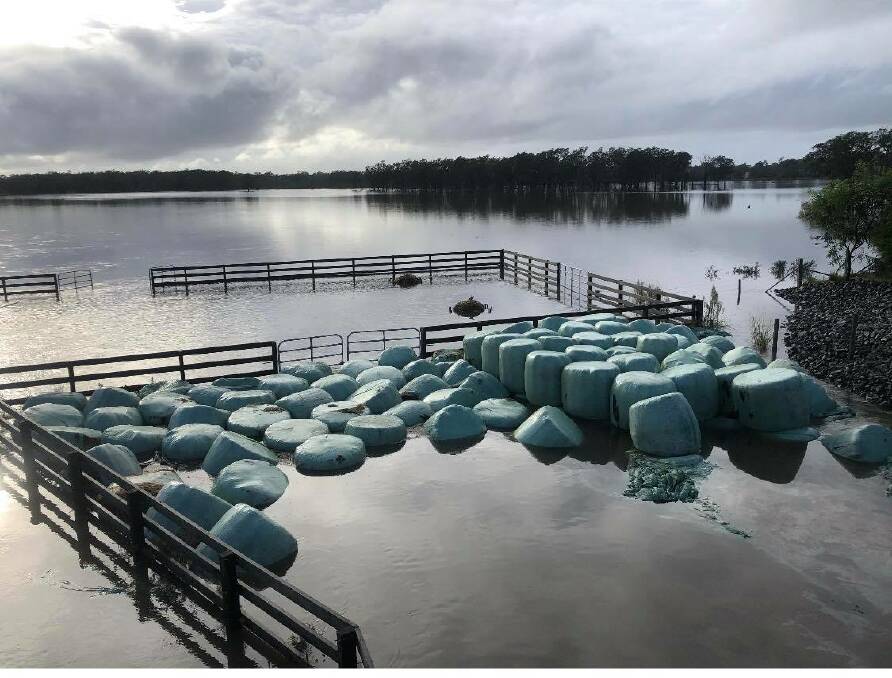 Flooding this week in NSW's lower Macleay Valley.