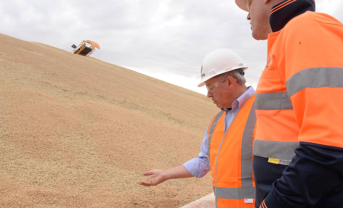 No more asset sale talk at busy GrainCorp - for the moment